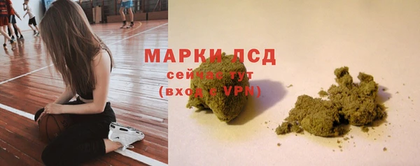 PSILOCYBIN Ладушкин