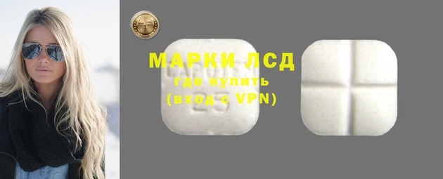 PSILOCYBIN Ладушкин