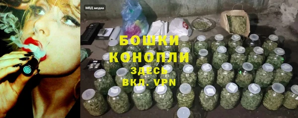 тгк Лагань