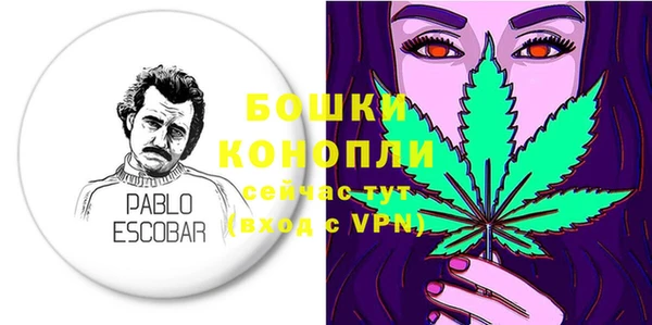 PSILOCYBIN Ладушкин