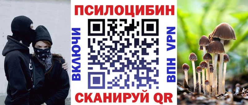 где купить наркотик  Брянск  Галлюциногенные грибы Cubensis 